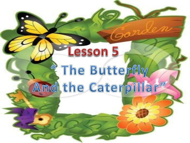 Stories for Caterpillars and Butterflies